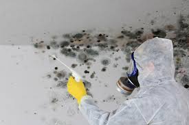 Best Real Estate Mold Inspection  in Effingham, IL